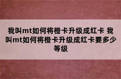 我叫mt如何将橙卡升级成红卡 我叫mt如何将橙卡升级成红卡要多少等级